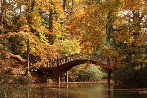 15 Signs You Go To The College Of William And Mary Pond Bridge, Claude Monet Water Lilies, William & Mary, College List, Equestrian Facilities, Virginia Is For Lovers, Dc Travel, William And Mary, College Aesthetic