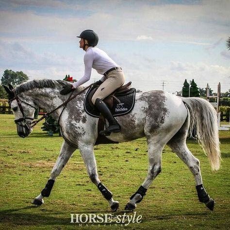 dapple grey/splash white....? Cheval Pie, Riding A Horse, Horse Crazy, Sport Horse, Style Magazine, Horse Equestrian, Cute Horses, Horse Life, Horse Photos