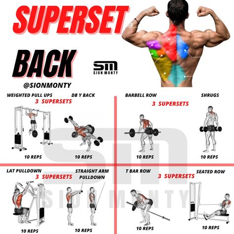 1 Day Workout, Darbee Workout, 4 Day Workout, 3 Day Workout, Back Workout Routine, Getting In Shape, Barbell Row, Exercise Physiology, Mens Workout