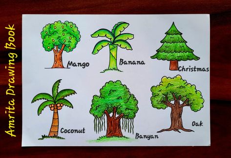 Video Tutorial uploaded on Amrita Drawing Book Channel. Subscribe for more creative Drawings and School Projects #trees #typesoftrees #different #youtube #amritadrawingbook #mangotree #bananatree #christmastree #coconuttree #banyantree #oaktree Different Types Of Trees Drawing, Types Of Trees Drawing, Different Types Of Tree Drawing, Types Of Trees For Kids, Mango Tree Drawing, Banyan Tree Drawing, Tree Sketches Simple, Tree Drawing For Kids, Cartoon Drawing For Kids