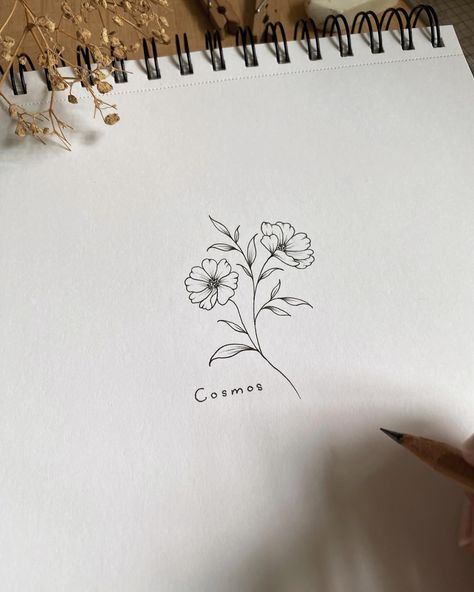 Small cosmos flower design. Cosmos is my favorite flower to draw at the moment. 🌸 There’s just something about its simplicity and grace that inspires me every time. #linedrawing #finelinedrawing #flowerinstagram #flowerillustrations #seracreates Minimalist Cosmos Flower Tattoo, Primrose Flower Drawing Simple, Cosmo Flower Drawing Simple, Cosmo Line Drawing, Larkspur And Cosmos Tattoo, October Flower Drawing, Cosmos Tattoo Design, Cosmo Flower Drawing, October Birth Flower Tattoo Cosmos