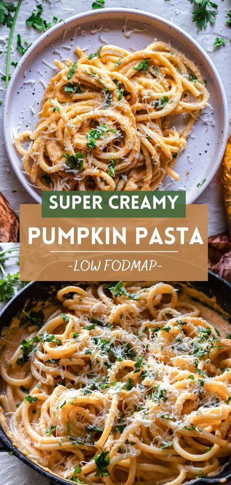 Low Fodmap Creamy Pasta, Fodmap Pumpkin Recipes, Low Fodmap Fall Soup, Low Fodmap Pasta Bake, Low Fodmap Pumpkin Soup, Low Fodmap Fall Dinner, Fodmap Fall Recipes, Low Fodmap Holiday Recipes, Low Fodmap Soups Gluten Free