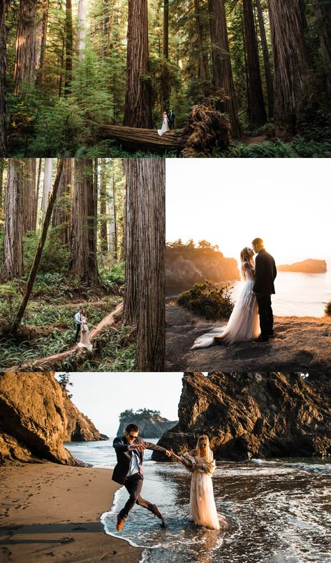 Redwoods Wedding Photos, Redwood Elopement Photography, Redwood Photoshoot, Ocean Elopement, Redwood Elopement, Cliff Elopement, Cliff Sunset, Magical Forest Wedding, Redwoods Wedding