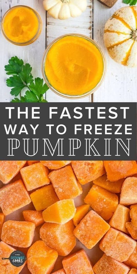 Learn all the tips and tricks for freezing pumpkins to extend the harvest. Learning how to freeze pumpkin in cubes or puree is a great way to preserve this wonderful ingredient without needing to know any special kitchen skills. How To Freeze Squash, Can You Freeze Pumpkin, Freeze Pumpkin, Freezing Pumpkin, Freezing Squash, How To Make Squash, Preserving Pumpkins, Vegan Butternut Squash Soup, Butternut Squash Chili