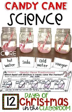 Candy Cane Preschool Craft, Candy Cane Activities For Preschool, Christmas Games For School, Candy Cane Experiment, Candy Cane Science, Vetenskapliga Experiment, Christmas Preschool, Christmas Science, Kid Science