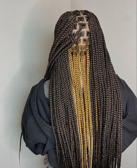 Black And Gold Peekaboo Braids, Brown And Black Peekaboo Braids, Braids Highlights, Peekaboo Braids, Brown Box Braids, Peekaboo Hair Colors, Black Box Braids, Box Braid Hair, Colored Box Braids