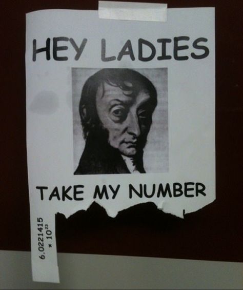 Dating with Amedeo Avogadro: If you understand this, welcome to the nerd club. You're talking to the president :) Mole Day, Terrible Puns, Nerdy Jokes, House Elf, Physics Humor, Science Puns, Nerd Jokes, Chemistry Jokes, Science Nerd