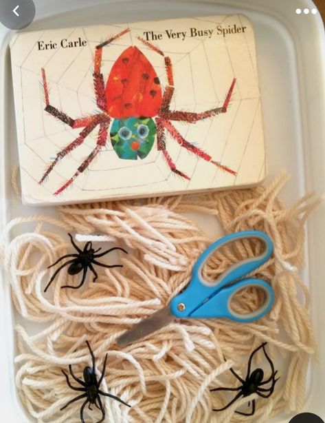 Spiders Sensory Bin, Spider Cognitive Activities, Spider And Bat Crafts Preschool, Spider Exhibit Dramatic Play, Reggio Spider Activities, Spider Preschool Activities, Spider Activities For Preschool, Very Busy Spider Activities, Book Week Activities