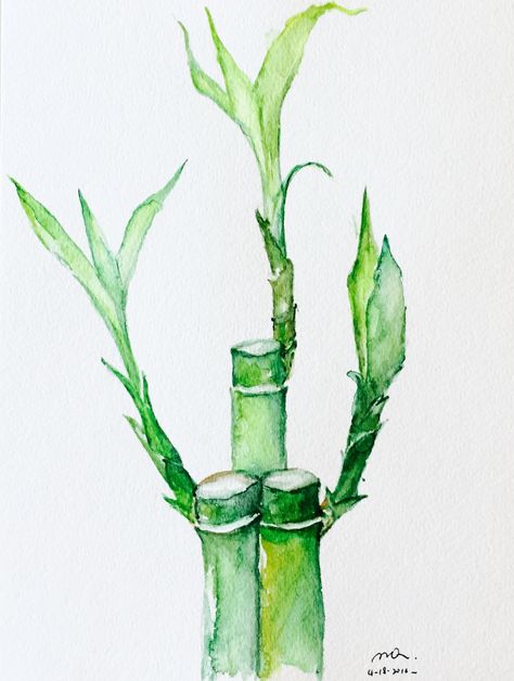 Lucky Bamboo Plants, Bamboo In Pots, Lucky Symbols, Lucky Bamboo, Bamboo Plants, Plant Art, Calendar Design, Big Bang Theory, Paint Colors