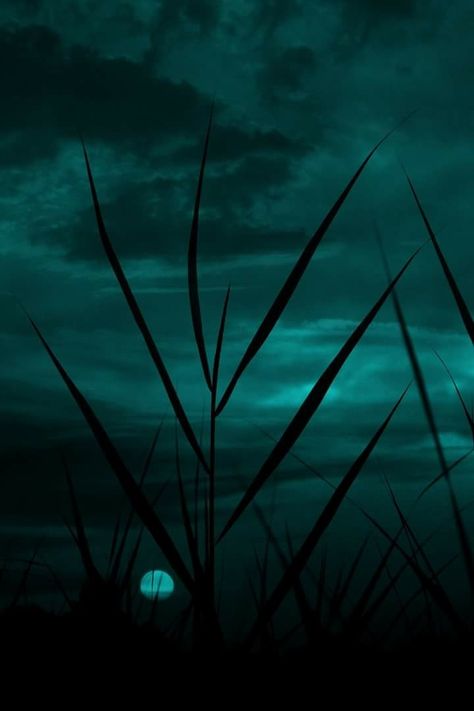 Dark Cyan Aesthetic Wallpaper, Nuclear Art, Turquoise Aesthetic, Early Night, The Flowers Of Evil, Video Design Youtube, Dark Cyan, Beautiful Butterflies Art, Dark Green Aesthetic