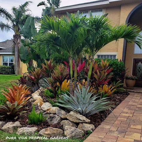 Florida Plants Landscaping, Tropical Backyard Landscaping, Palm Trees Landscaping, Tropical Landscape Design, Florida Landscaping, Tropical Garden Design, Small Front Yard Landscaping, Tropical Backyard, Tropical Landscape