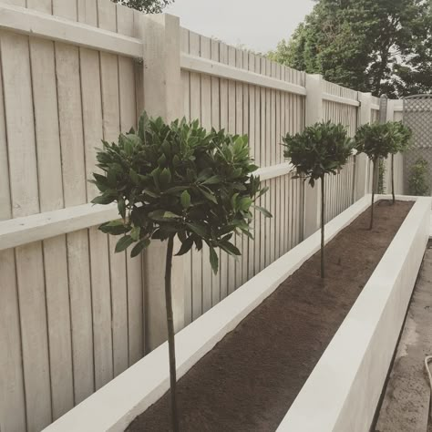 Modern Garden Fence, White Fence, Fence Designs, Budget Garden, Back Garden Design, Diy Fence, Garden Design Layout, Modern Garden Design, Fence Landscaping