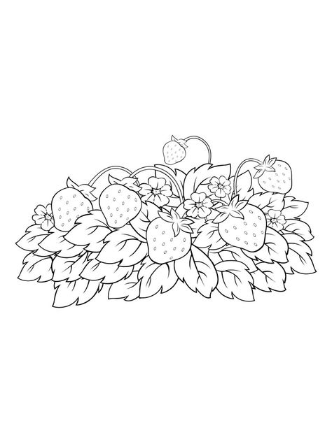 https://kidipaint.com/coloring-pages/food/strawberry/strawberry-6/ Check more at https://kidipaint.com/coloring-pages/food/strawberry/strawberry-6/?utm_source=pinterest Strawberry Basket Drawing, Strawberry Coloring Pages, Bush Drawing, Strawberry Bush, Food Strawberry, Strawberry Drawing, Penny Rug Patterns, Strawberry Field, Garden Coloring Pages