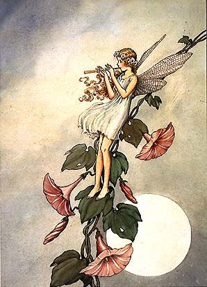 Serenading the Moon, vintage photography, fairy sitting on flowers playing flute music to full moon, Ida Rentoul Outhwaite, Fairy Sitting, Faery Art, Fairy Illustration, Fairy Artwork, Fairy Aesthetic, Love Fairy, Vintage Fairies, Fairies Elves