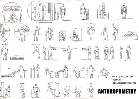 A set of drawings regarding the spaces and it's measurements that humans occupy during their daily actions. Anthropometry Human Sketch, Body Dimensions Drawing, Body Sketching, Sketching Architecture, Human Dimension, Human Sketch, Human Body Drawing, Human Figure Sketches, Interior Architecture Drawing