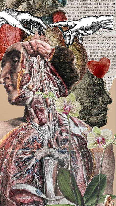 Vintage Medical Art, Medical Drawings, Medical Student Motivation, Medical Wallpaper, Biology Art, Creepy Tattoos, Psy Art, Arte Van Gogh, Human Anatomy Art