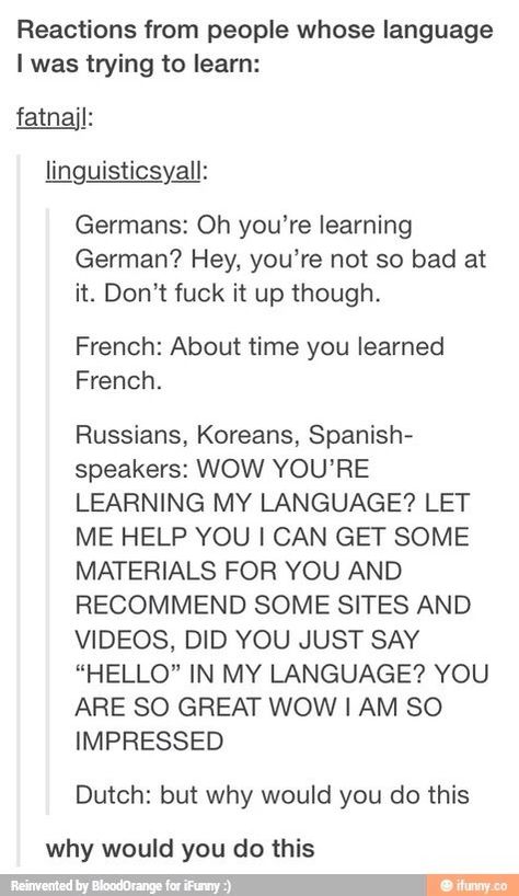 "Why would you do this" lol Language Memes Funny, Language Jokes, Funny Tumblr, Grammar Rules, Question Everything, Funny Tumblr Posts, Funny Funny, A Magazine, What’s Going On