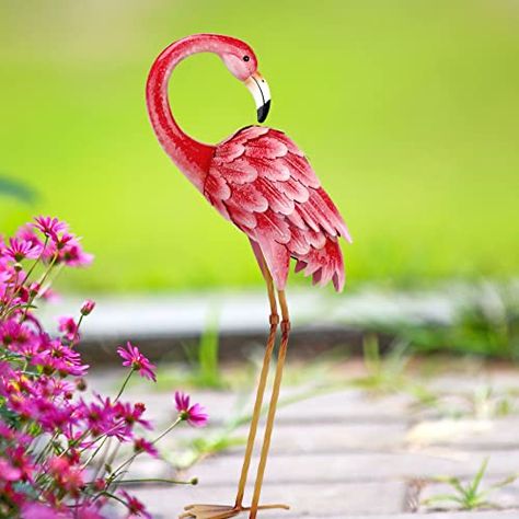 Pink Flamingos Lawn Ornaments, Flamingo Yard Art, Pond Decorations, Meteor Lights, Pond Pool, Vintage Flamingo, Flamingo Pictures, Flamingo Ornament, Flamingo Garden