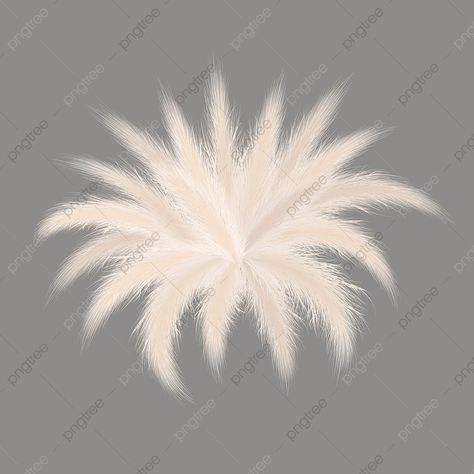 Pampas Bouquet, Sun Background, Autumn Png, Silver Background, Glitter Background, Vector Png, Grey Background, Watercolor Pattern, Gray Background