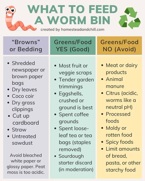 Vermicomposting 101: How to Make a Simple Worm Compost Bin ~ Homestead and Chill Diy Worm Compost Bin, Diy Worm Farm, Worm Farm Diy, Worm Farming, Worm Bin, Worm Castings, Dry Leaves, Worm Composting, Compost Tea