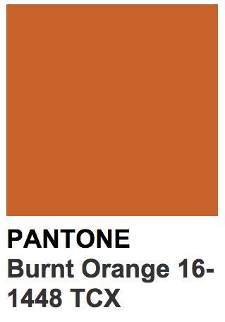 Burnt Orange Paint, Pantone Orange, Orange Paint Colors, Aesthetic Profile, Pantone Colour Palettes, Orange Color Palettes, Orange House, Orange Paint, Paint Swatches