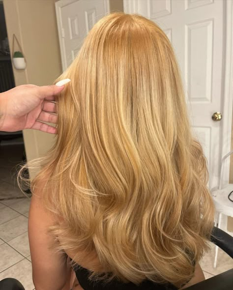 Full Golden Blonde Hair, Golden Blonde Partial Highlights, Mid Length Honey Blonde Hair, How To Color Your Own Hair, Golden Hair With Highlights, Golden Honey Blonde Hair Balayage, Blonde Hair Color Ideas For Fair Skin, Natural Golden Blonde Hair, Golden Blonde Short Hair