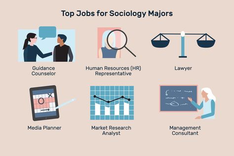 After earning a sociology degree, there are a variety of career paths that you can pursue. Career counseling can be incredibly helpful in identifying the most suitable options based on your interests, skills, and values. Here are some potential career paths you could consider: Sociology Degree, Sociology Careers, Sociology Major, College Information, Third Grade Science, Career Exploration, Job Search Tips, Media Planner, Online Student