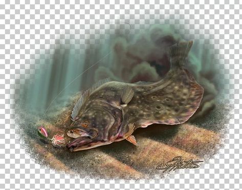 Clothing Drawing, Fishing Png, Flounder Fishing, December 27, Color Help, Png Image, Free Download, Fishing, Resolution