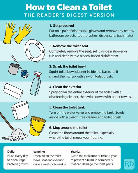 How to Clean a Toilet and Bidet: 8 Easy Steps to Follow Toilet And Bidet, Cleaning Home, Clean House Schedule, Easy Cleaning Hacks, Bujo Ideas, House Cleaning Checklist, Deep Cleaning Tips, Toilet Bowl Cleaner, Household Cleaning Tips