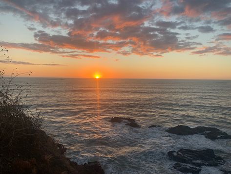 Look At The Sky, Rock Climbing, Surfing, Orange, Water, Flowers