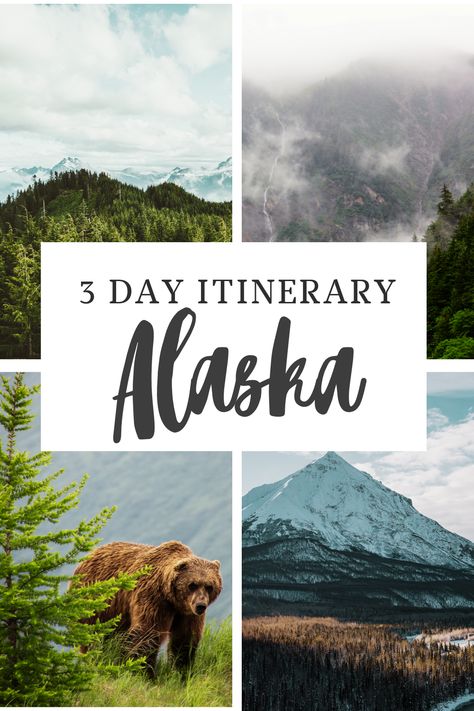 Alaska Road Trip Itinerary, Alaska Honeymoon, Alaska Train, Alaska Itinerary, Wasilla Alaska, Alaska Road Trip, Trip To Alaska, 2 Days Trip, Kenai Fjords National Park