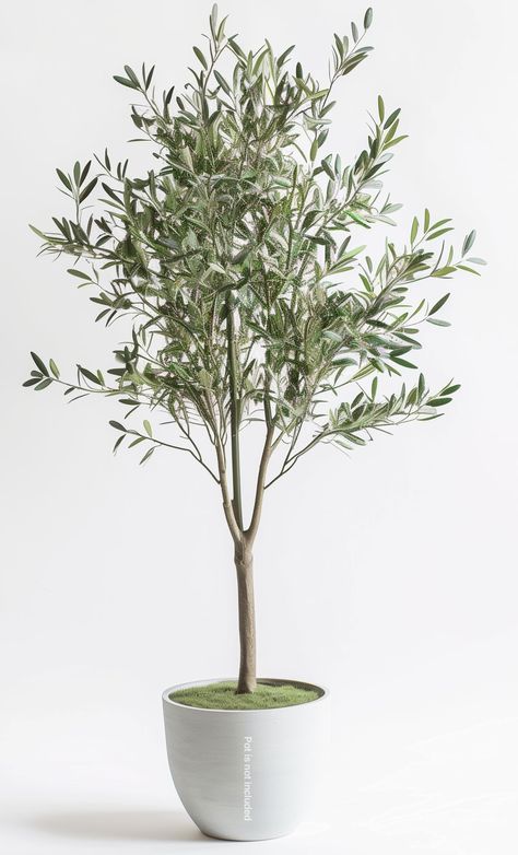 PRICES MAY VARY. Add a touch of natural charm to your home decor with our lifelike 5ft artificial olive tree. The perfect addition to any living space, this tree features realistic branches and leaves, complete with an intricate design that mimics the look and feel of a real olive tree. Looking for a modern and stylish decor piece for your home? Our faux olive tree is the perfect choice! Made from high-quality materials and designed to last, this faux tree add a touch of elegance and sophisticat Small Olive Trees In Pots, Faux Plant For Shelf, Front Door Plants Farmhouse, Small Tree On Stand, Eucalyptus Vase Fireplace, Fiddle Leaf Fig Tree Dining Room, Faux Plants Next To Tv, Trees For Lakehouse, Faux Wood Tree