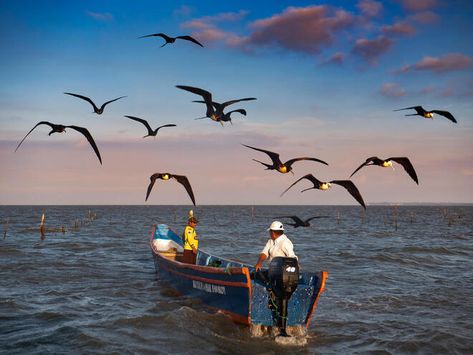 3 tools to promote sustainable fishing and end human rights abuses #careforearth Sustainability Quotes, Sustainable Fishing, Tuna Fishing, Fish Stock, Banking App, Circular Economy, Online Banking, Photo Essay, Fishing Trip