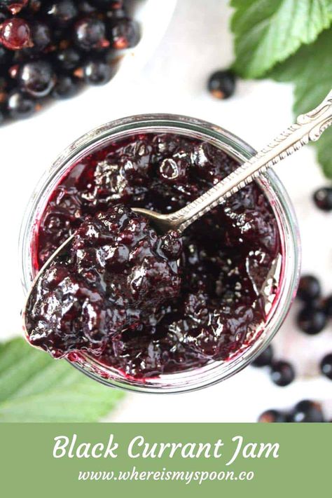 The best black currant jam recipe! Flavorful preserves making the most of these great summer berries. #whereismyspoon #blackcurrantjam #blackcurrants #blackcurrantpreserves #blackcurrantrecipe Red Currant Recipe, Black Currant Recipes, Black Currant Jam, Currant Recipes, Currant Jam, Rhubarb Jam Recipes, Currant Jelly, Rhubarb Jam, Jam And Jelly