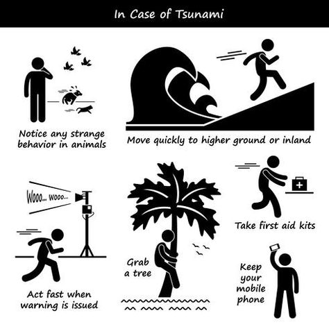 In Case of Tsunami Emergency Plan Stick Figure Pictogram Icons. Emergency Action Plan, Body Gestures, Emergency Plan, Emergency Management, Stick Figure, Action Plan, Stick Figures, Survival Tips, Safety Tips