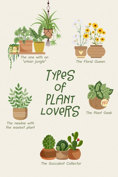 Gardens Photography, Get To Know Yourself, Plants Quotes, Plant Care Houseplant, Vegetable Garden Diy, Fragrant Plant, Know Yourself, Inside Plants, Indoor Plant Care