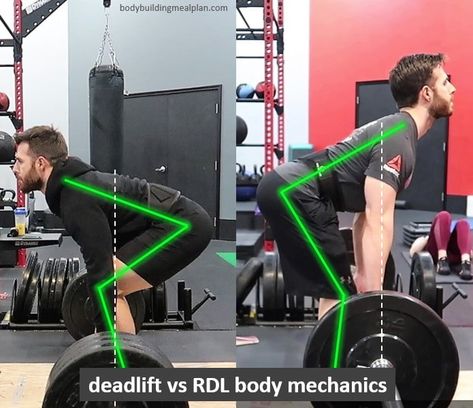 Types of Deadlifts Romanian Deadlift Vs Romanian Deadlift, Types Of Deadlifts, Romanian Deadlift Form, Smith Machine Deadlift, Hex Bar Deadlift, Workout Form, Resistance Bands Chest, Trap Bar Deadlift, Workout Female