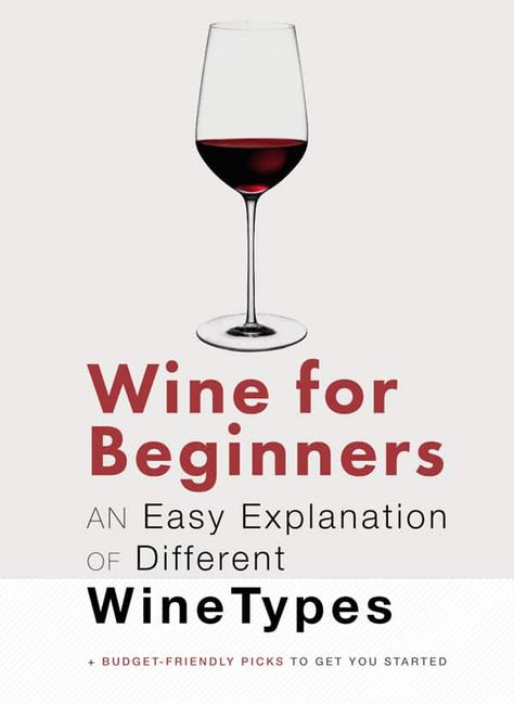 Red Wine For Beginners, Wine For Beginners, Wine Types, Types Of Red Wine, Wine Basics, Wine Chart, Wine Facts, Different Types Of Wine, Summer Drinks Alcohol