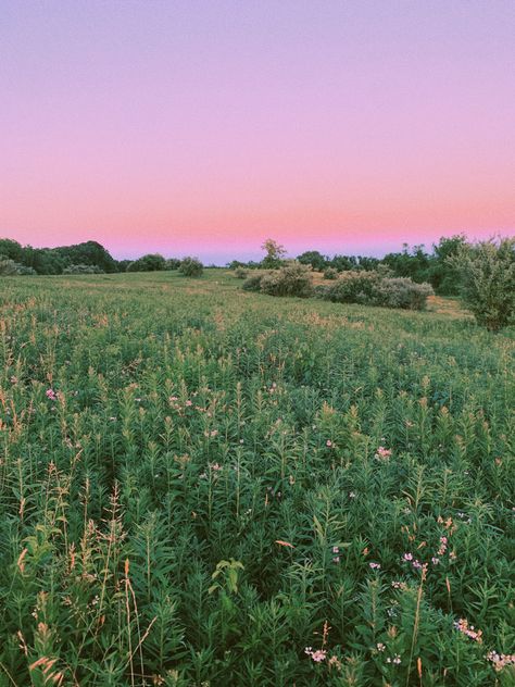 #fieldphotography #trails #pennsylvania #pittsburgh #pennsylvaniatrails #naturephotography #nature #sunset Pennsylvania Wallpaper, Pennsylvania Aesthetic, Pennsylvania Landscape, Pennsylvania Countryside, Purple Coneflowers, Corinne Michaels, Lovely Bones, Turkey Hill, The Lovely Bones