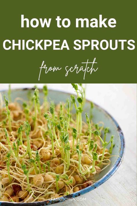 "Image: A vibrant image showcasing fresh and green chickpea sprouts, a delicious bowl of sprouted chickpeas, and various culinary uses. Explore the world of chickpea sprouts, their nutrition, benefits, and culinary versatility in this comprehensive guide. Radish Sprouts, Healthy Greens, Growing Sprouts, Alfalfa Sprouts, Sprouting Seeds, Nutrient Dense Food, Grow Your Own Food, Grow Your Own, My Mother