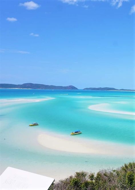 Travel world Whitsundays Aesthetic, Queensland Australia Travel, Whitsundays Australia, Whitsunday Islands, Dream Holidays, Australia Trip, Travel 2024, Australia Beach, Beachy Room