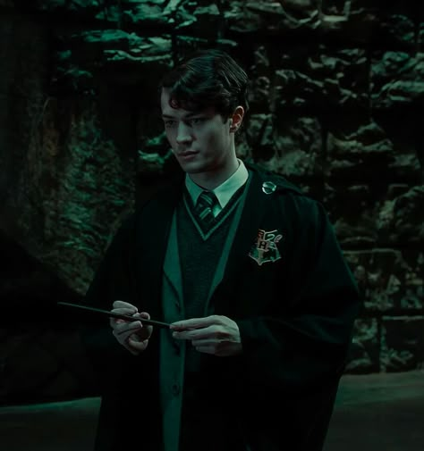 Voldemort Aesthetic, Christian Coulson, Slytherin Vibes, Harry Potter Voldemort, Tom Marvolo Riddle, Harry Potter Wall, Mattheo Riddle, Slytherin Boys, Harry Potter Dr