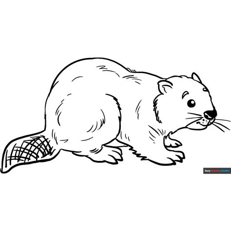 Free Beaver Coloring Page for Kids Beaver Pictures, Printable Animal Coloring Pages, Animal Coloring Pages For Kids, Easy Drawing Guides, Free Printable Coloring Sheets, A Coloring Page, Drawing Guides, Printable Animals, Kids Print