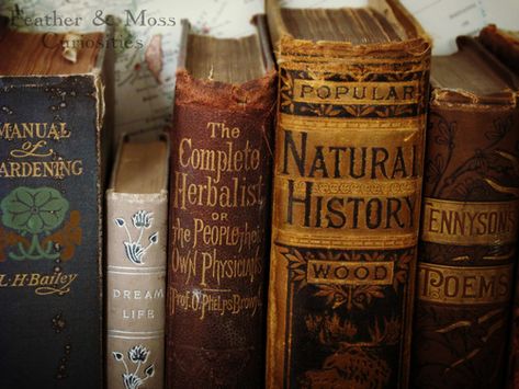 Old books Chise Hatori, Hufflepuff Aesthetic, Yennefer Of Vengerberg, The Ancient Magus Bride, Hogwarts Aesthetic, Albus Dumbledore, Harry Potter Aesthetic, Study History, Luna Lovegood