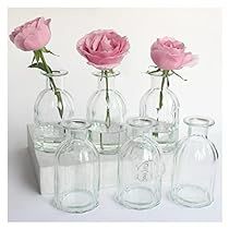 Mini Bud Vases, Small Glass Vase, Glass Vases Centerpieces, Vases For Flowers, Small Glass Vases, Small Vases, Clear Glass Vase, Vase For Flowers, Clear Vases