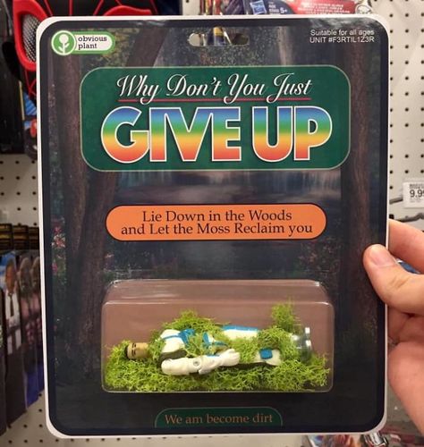 'Obvious Plant' Leaves Hilarious Fake Products In Real Stores (30 New Pics) Obvious Plant, Weird Toys, Just Give Up, It Goes On, E Card, Dankest Memes, A Box, Dumb And Dumber, Sake