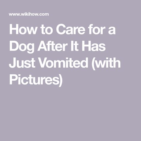 How to Care for a Dog After It Has Just Vomited (with Pictures) Vomit Remedies, Dog Vomit, Dog Coughing, Kennel Cough, Ligament Tear, Cruciate Ligament, Dog Sounds, Ginger Smoothie, Home Remedy For Cough