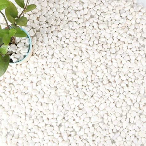 Anothera 18-lb Bulk Bag White Pebbles 1/2" Size Aquarium Gravel Outdoor Garden Paving Plant Decorative Stones White Gravel, Aquarium Gravel, Decorative Pebbles, Landscape Rock, Decorative Stones, Garden Paving, White Pebbles, Rock Garden Landscaping, Succulents In Containers