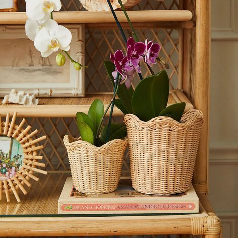 Amanda Lindroth, Bamboo Picture Frames, Home Retreat, Potted Flowers, Woven Placemats, Large Baskets, Wicker Basket, Shelf Styling, Cut Flowers