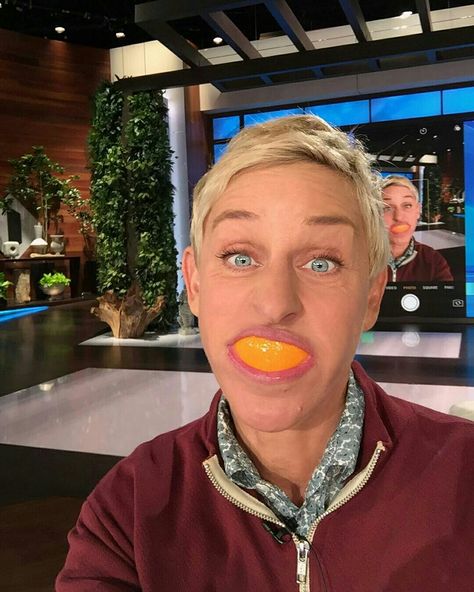 Ellen Degeneres Meme, Ellen Degeneres Young, Ellen Degeneres Funny, Ellen And Portia, Zach Galifianakis, Freaking Hilarious, Amy Schumer, The Ellen Show, Kristen Wiig